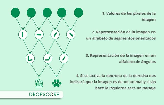 Funcionamiento de una red neuronal artificial